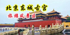 插逼叼嗨视频中国北京-东城古宫旅游风景区